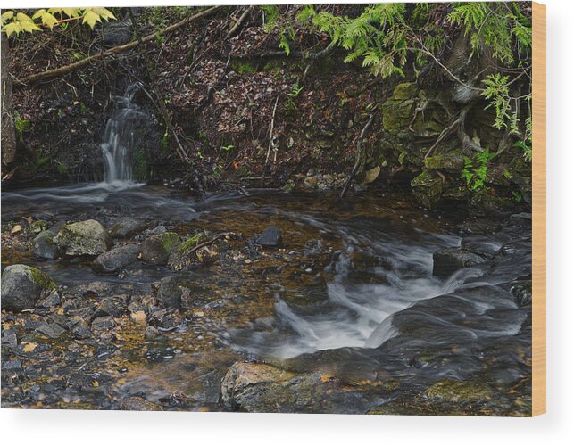 Photo Wood Print featuring the photograph Mill Creek by Richard Gregurich