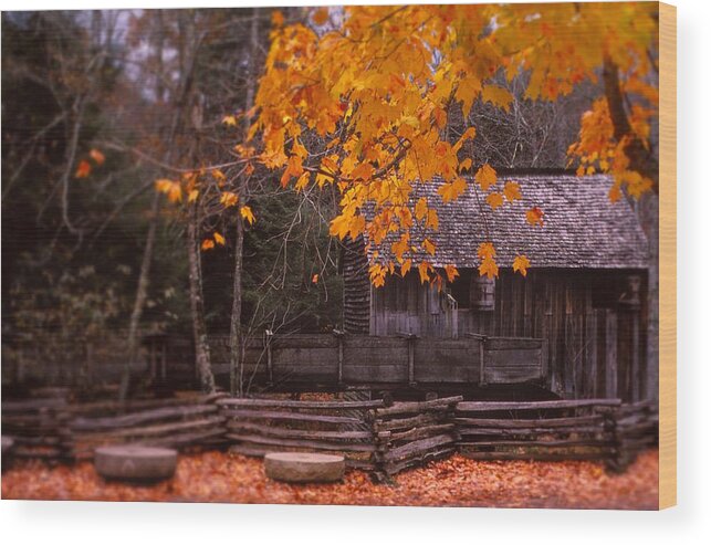 Fine Art Wood Print featuring the photograph Millers Fall by Rodney Lee Williams