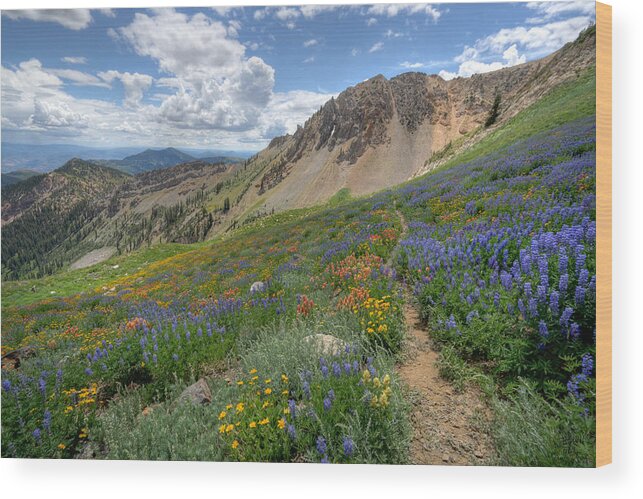 Wildflower Wood Print featuring the photograph Mineral Basin Wildflowers by Brett Pelletier