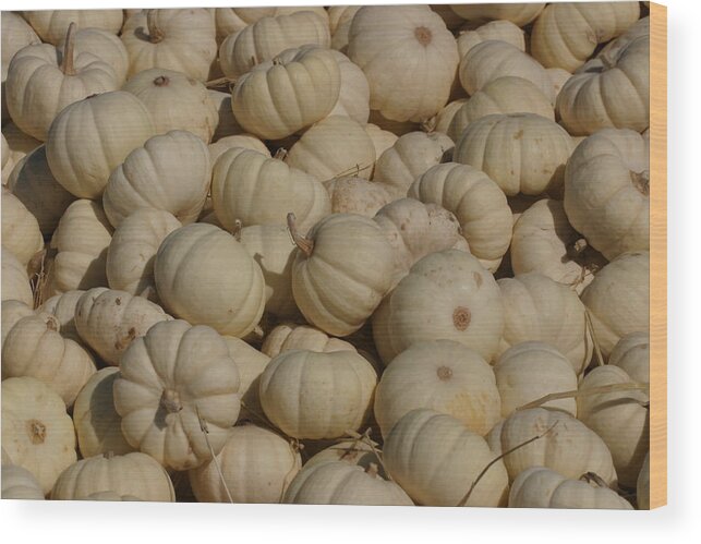 White Wood Print featuring the photograph Mini White Pumpkins by Jeff Floyd CA