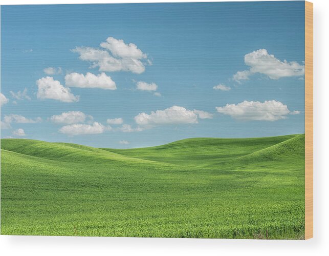 Agriculture Wood Print featuring the photograph Similar to desktop wallpaper on Windows computers. by Usha Peddamatham