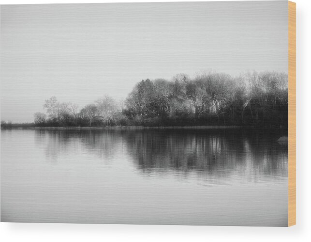 Minimalistic Wood Print featuring the photograph Minimalistic nature - black and white by Lilia D