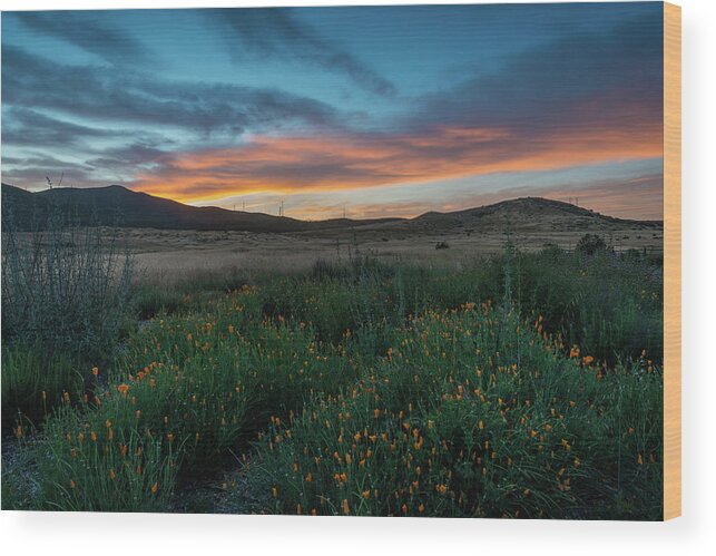 San Diego Wood Print featuring the photograph Mission Trails Poppy Sunset by TM Schultze