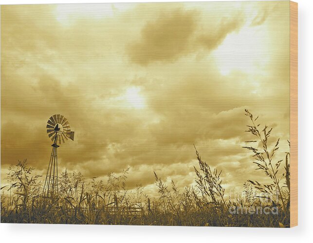 Mississippi Wood Print featuring the photograph Mississippi Windmill by Becqi Sherman