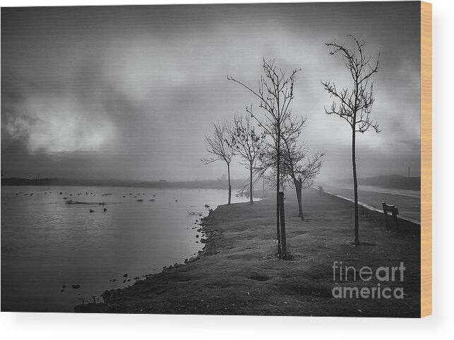 Dslr Wood Print featuring the photograph Mist over the tarn - monochrome by Mariusz Talarek