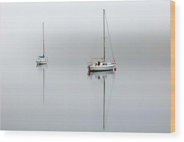 Boats Wood Print featuring the photograph Misty Boats by Grant Glendinning