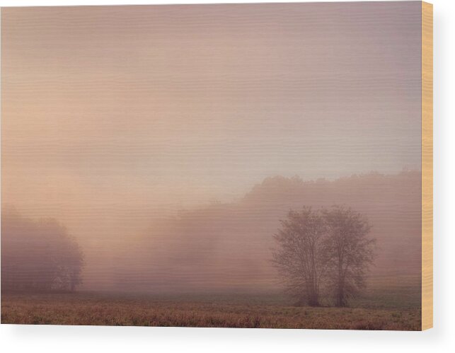Mist Wood Print featuring the photograph Misty Dawn by Robert Charity