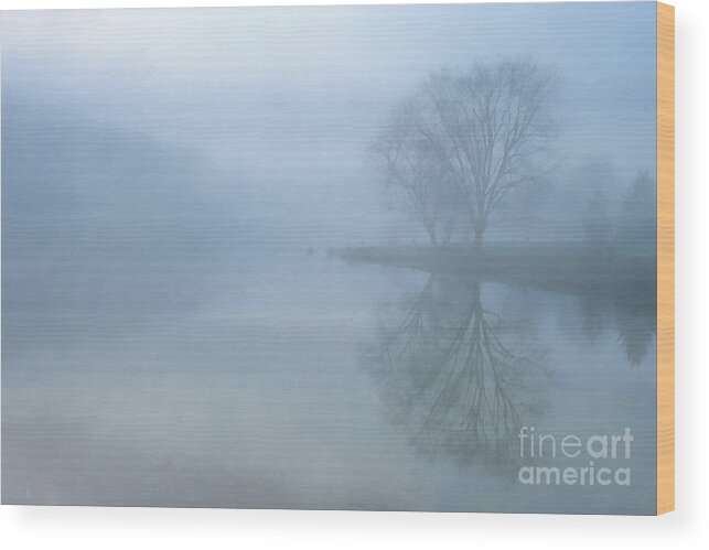 Misty Lake Morning Wood Print featuring the digital art Misty Lake Morning by Randy Steele