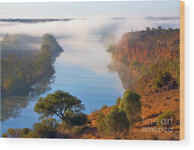 Misty Morning Murray River Maynards Lookout Walker Flat Riverland South Australia Wood Print featuring the photograph Misty Morning by Bill Robinson