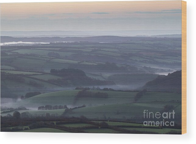 Exmoor Wood Print featuring the photograph Misty Morning on Exmoor by Andy Myatt