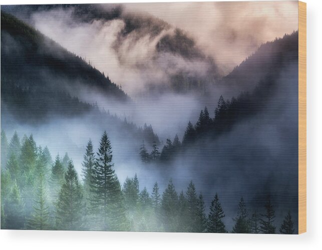 Dramatic Wood Print featuring the photograph Misty Mornings by Nicki Frates