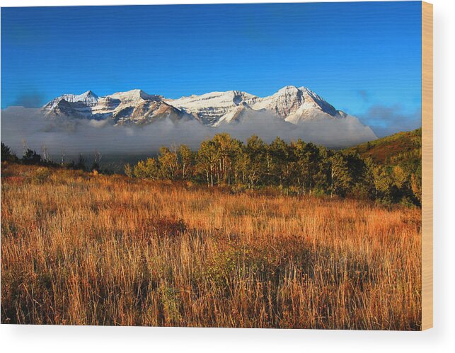 Autumn Wood Print featuring the photograph Misty Mouning by Mark Smith