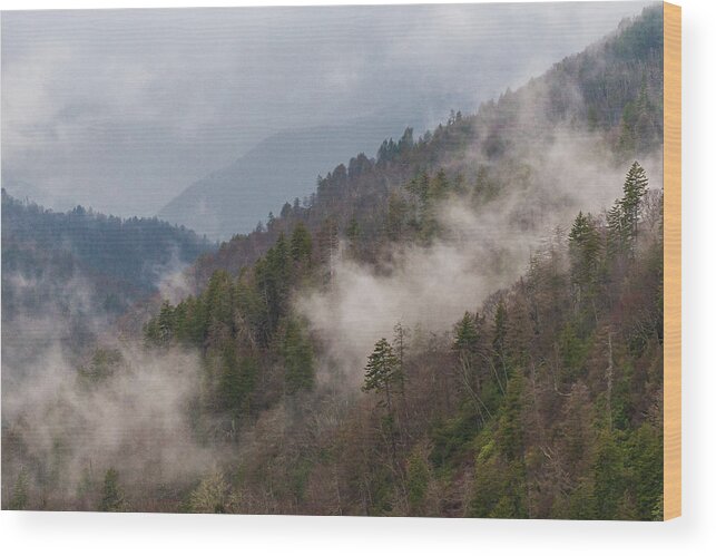 Great Smoky Mountains National Park Wood Print featuring the photograph Misty Mountains by Stefan Mazzola