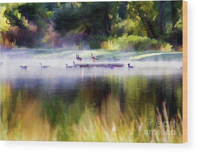 Landscape Wood Print featuring the photograph Misty Pond 6 AM Paint by Chuck Kuhn
