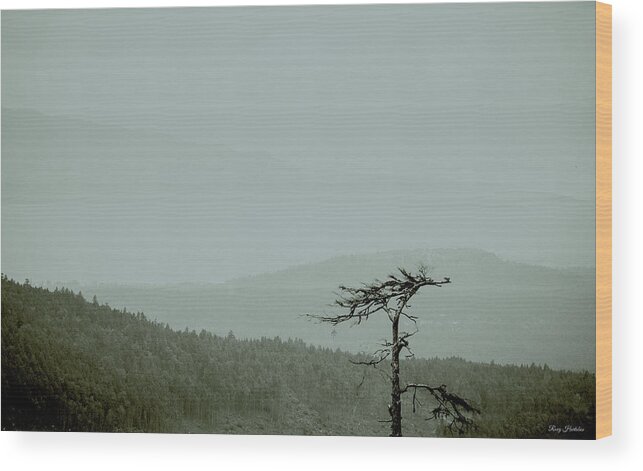 Mountains Wood Print featuring the photograph Misty View by Roxy Hurtubise