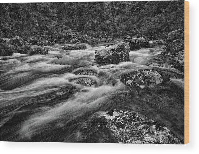East Kiewa River Wood Print featuring the photograph Mixed Emotions by Mark Lucey