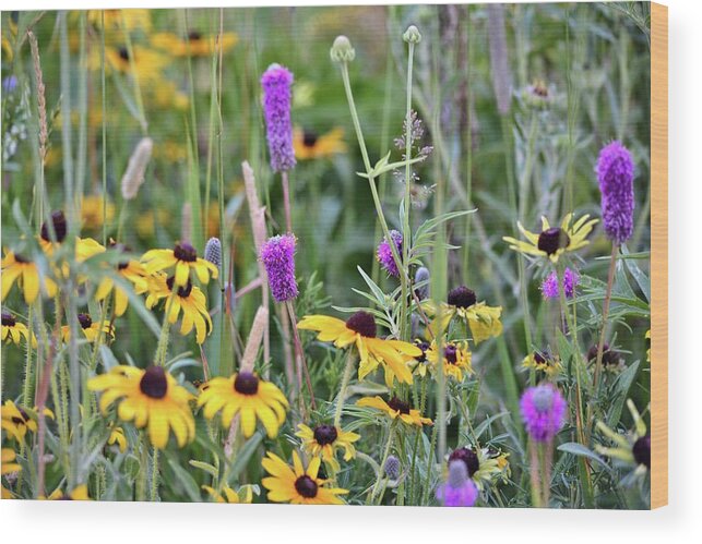Purple Prairie Clover Wood Print featuring the photograph Mixed Natural Bouquet 2 by Bonfire Photography