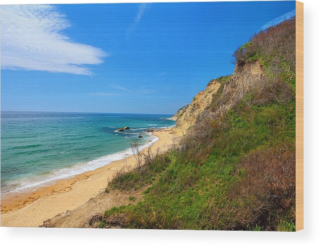Mohegan Bluffs Wood Print featuring the painting Mohegan Bluffs Block Island by Lourry Legarde