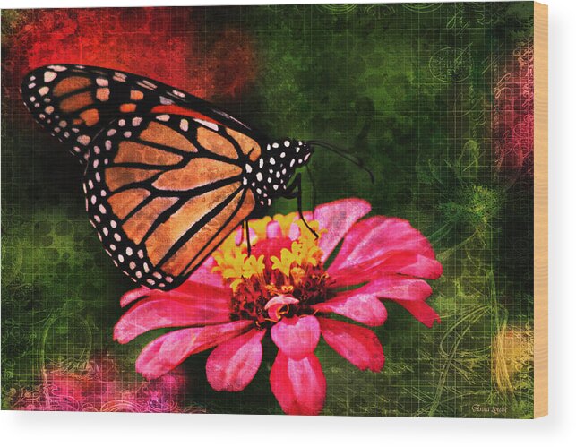 Monarch Butterfly Wood Print featuring the photograph Monarch Butterfly Dreamer by Anna Louise