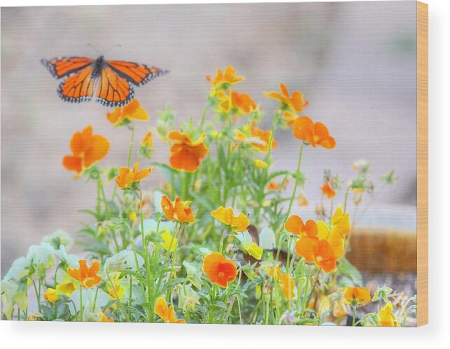 Butterfly Wood Print featuring the photograph Monarch Butterfly in the Flowers by Liz Vernand