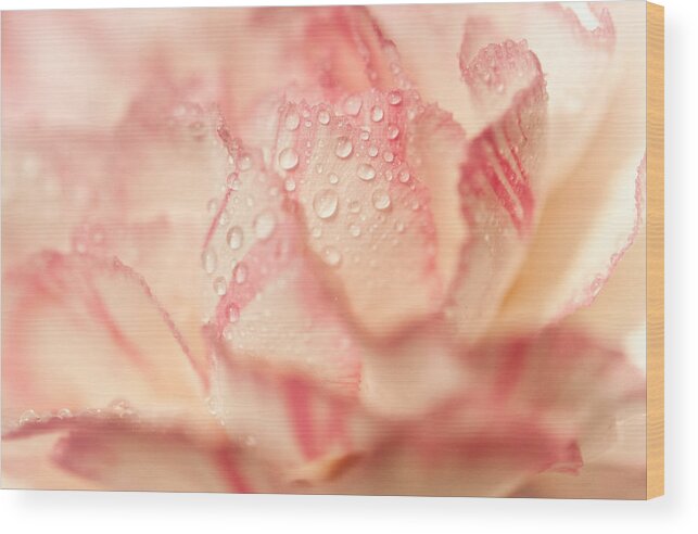 Jenny Rainbow Fine Art Photography Wood Print featuring the photograph Morning Freshness. Natural Watercolor. Touch of Japanese Style by Jenny Rainbow