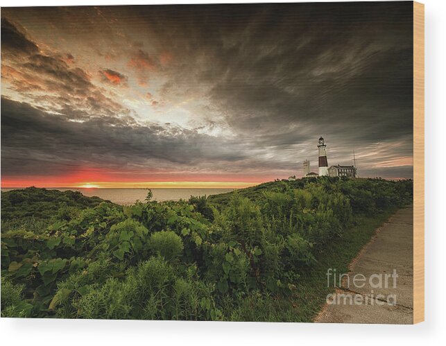 Stary Wood Print featuring the photograph Montauk Sunrise by Alissa Beth Photography