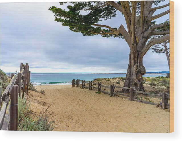 Seascape Wood Print featuring the photograph Monterey Day by Derek Dean
