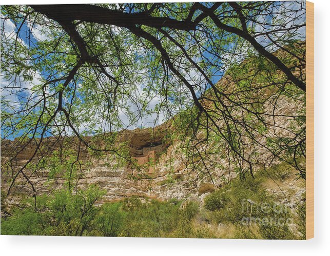 Arizona Wood Print featuring the photograph Montezuma Castle Dwelling by Raul Rodriguez