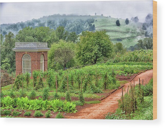 Garden Wood Print featuring the photograph Monticello Gardens by Mike Martin