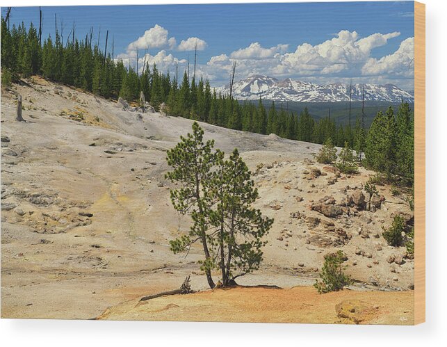 Monument Geyser Basin Wood Print featuring the photograph Monument Geyser Basin by Greg Norrell