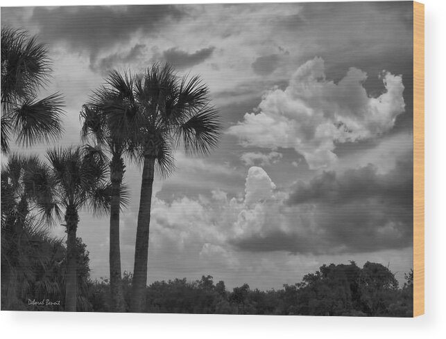 Florida Wood Print featuring the photograph Moody Florida Sky by Deborah Benoit