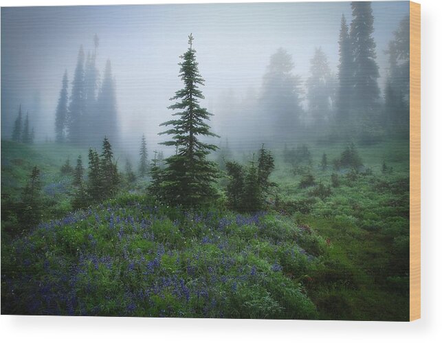 Moody Myrtle Falls Trail At Mount Rainier Wood Print featuring the photograph Moody Myrtle Falls Trail at Mount Rainier by Lynn Hopwood