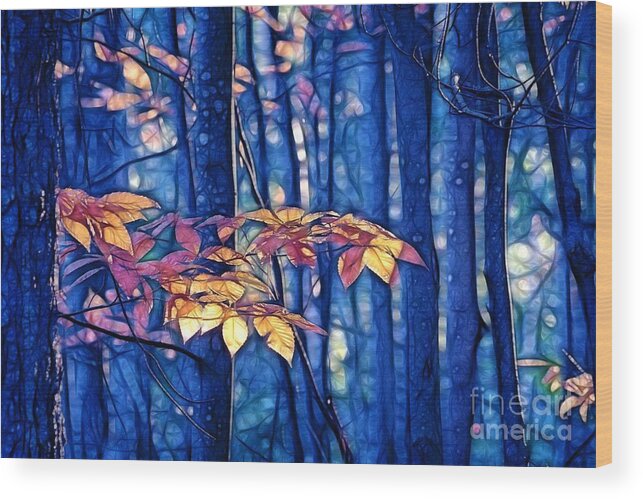 Blue Wood Print featuring the photograph Moody Woods by Aimelle Ml