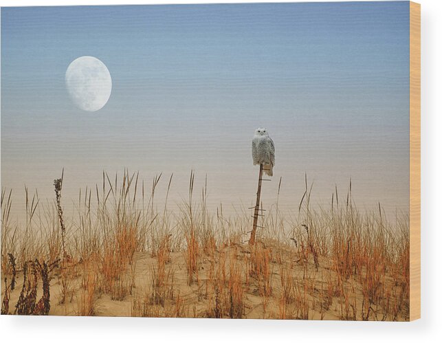 Moon Rise Snowy Owl Wood Print featuring the photograph Moon Rise Snowy Owl by Raymond Salani III