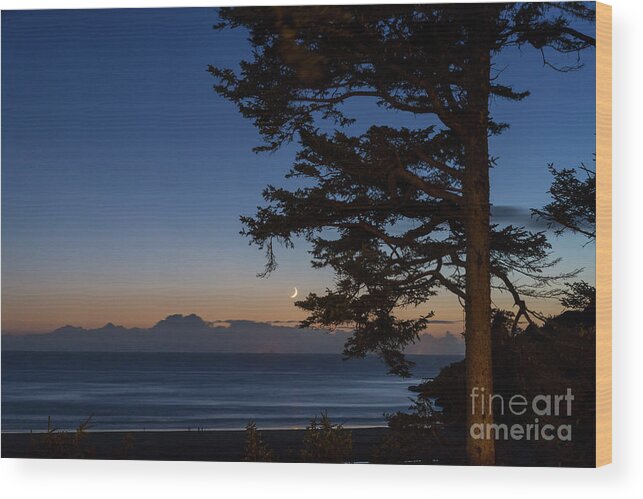 Oregon Wood Print featuring the photograph Moonlight at the beach by Paul Quinn
