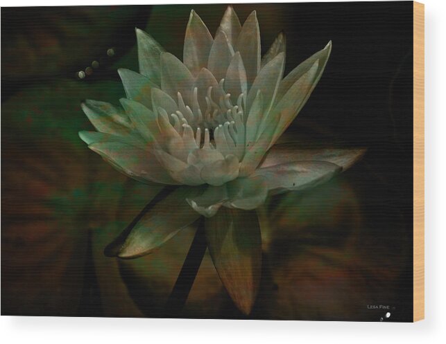 Water Lily Wood Print featuring the photograph Moonlit Water Lily by Lesa Fine