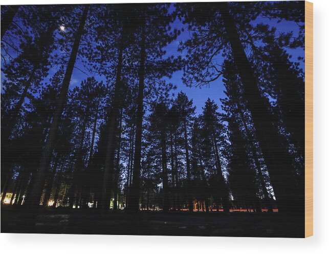 California Wood Print featuring the photograph Moonrise in the Woods by Margaret Pitcher