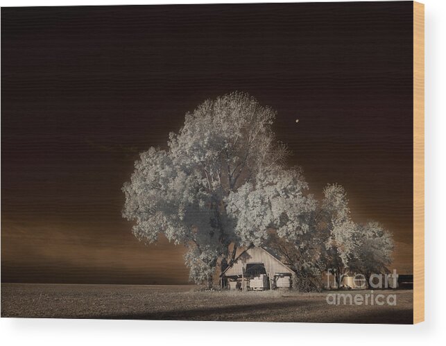 Moonrise Over The Bottoms Wood Print featuring the digital art Moonrise Over the Bottoms, October by William Fields