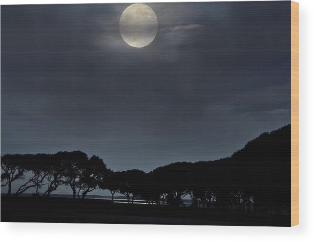Sea Wood Print featuring the photograph Moonrise over the Marsh. by WAZgriffin Digital