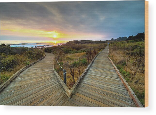 Cambria Wood Print featuring the photograph Moonstone Beach Path by R Scott Duncan