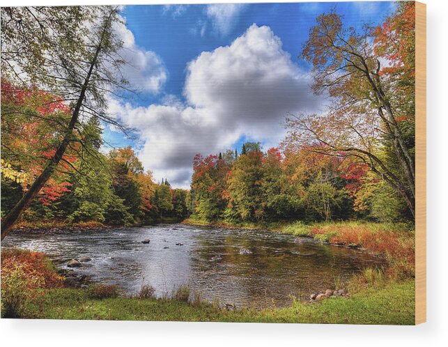 Landscapes Wood Print featuring the photograph Moose River near Scusa Road by David Patterson