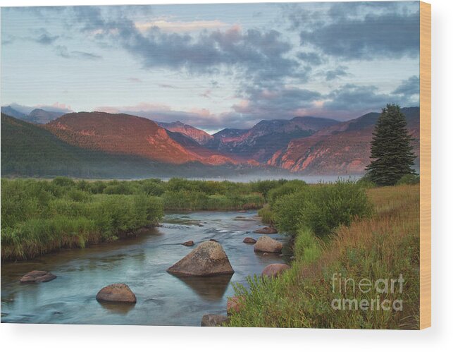 Rocky Mountain National Park Wood Print featuring the photograph Moraine Park Glow by Ronda Kimbrow