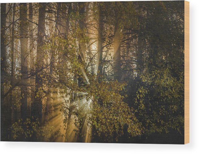 God Rays Wood Print featuring the photograph Morning Day Break by Scott Slone