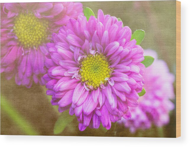 Florals Wood Print featuring the photograph Morning Delight by Arlene Carmel