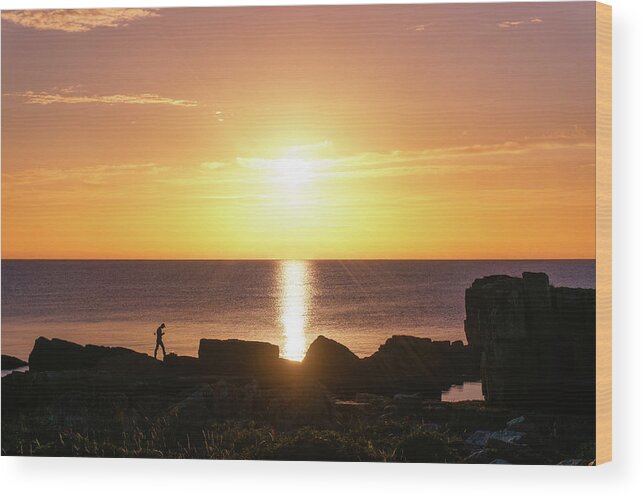 Baltic Wood Print featuring the photograph Morning fishing by Dmytro Korol