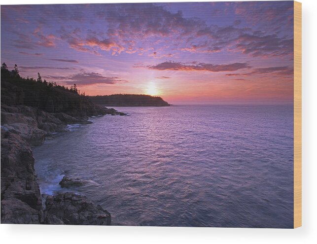 Acadia National Park Wood Print featuring the photograph Morning Glory by Juergen Roth