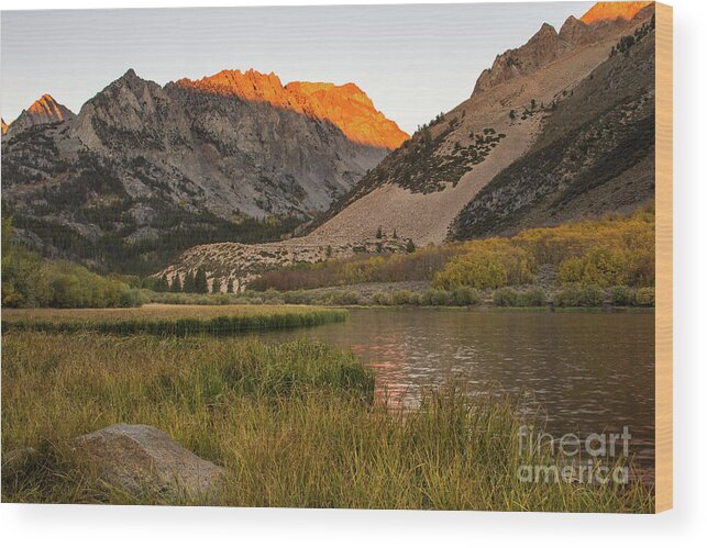 Mountains Wood Print featuring the photograph Morning Glow by Brandon Bonafede