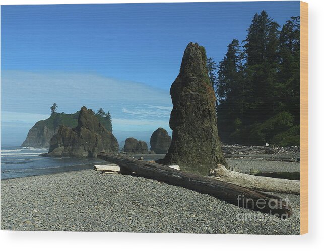  Beach Wood Print featuring the photograph Morning Has Broken by Christiane Schulze Art And Photography