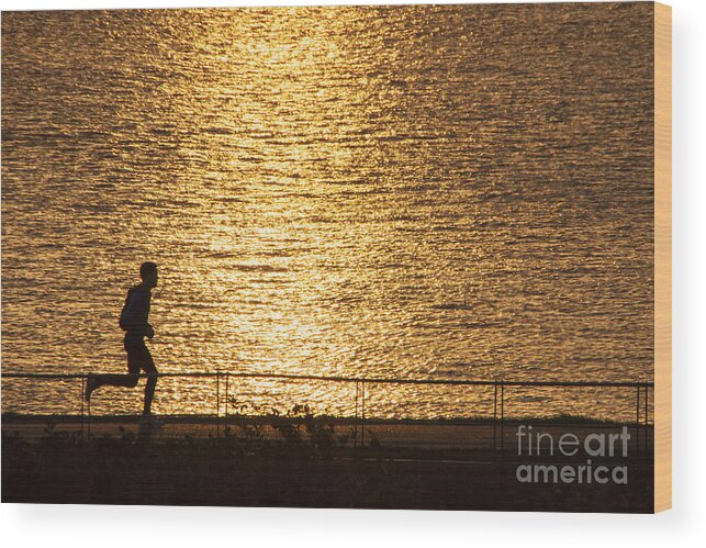 Sunrise Wood Print featuring the photograph Morning Jog by Inge Riis McDonald