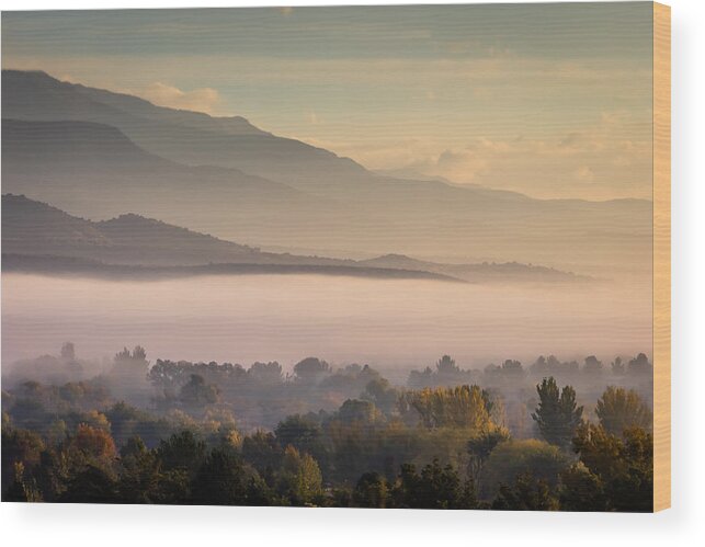 Peaceful Wood Print featuring the photograph Morning Light by Gary Migues
